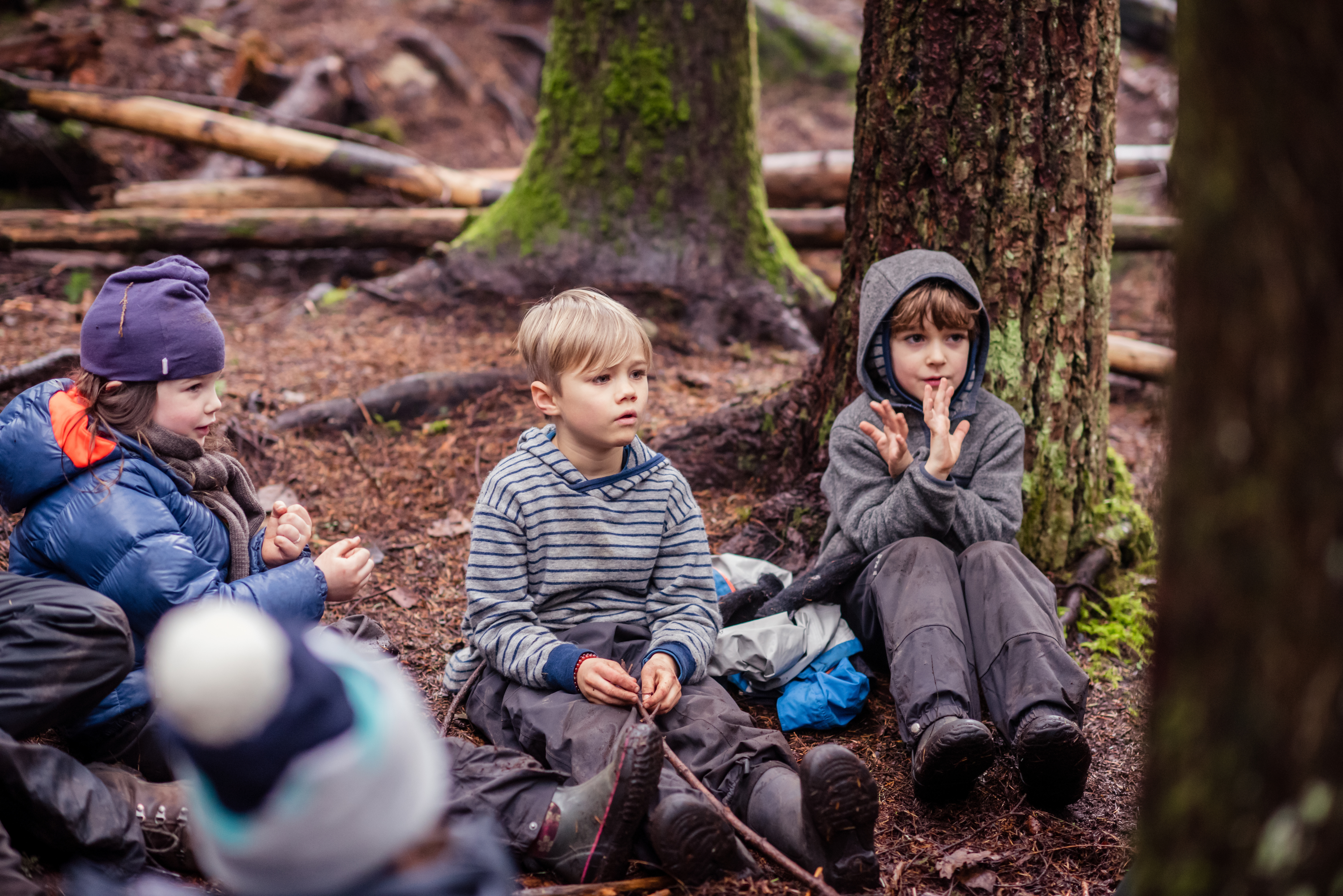 Acadia Beach Nature Camps